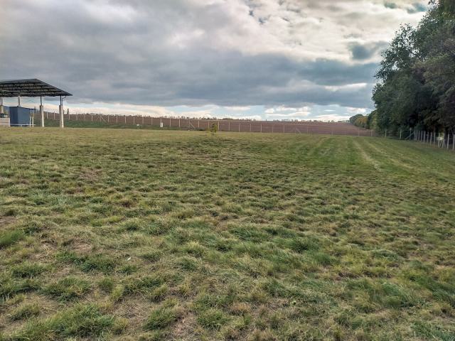 zoldentiszta-80